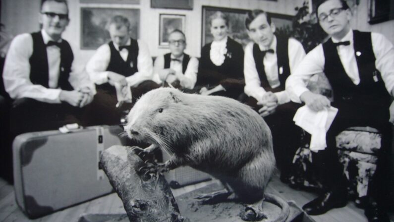 historie-sjove-tjenere-cafe-kølbert